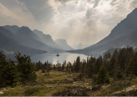 pexels pixabay-414171